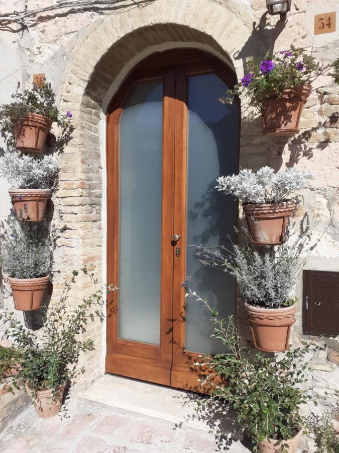 B&B San Francesco Assisi Dış mekan fotoğraf